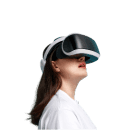 Virtual Reality (VR)