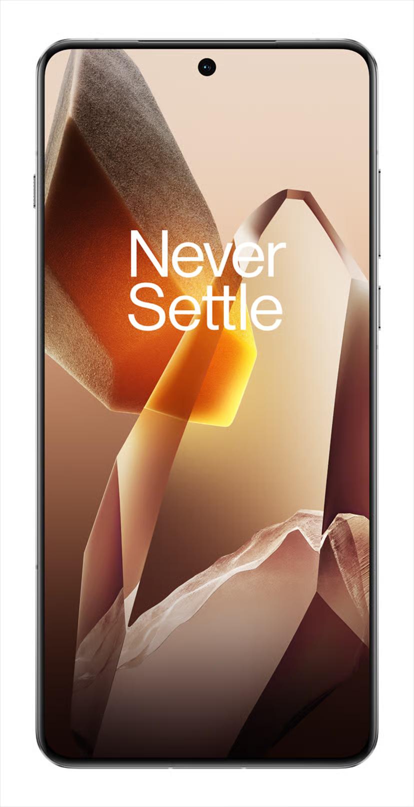 Oneplus 13 512GB - Diilimurkku