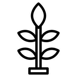 Kasvit