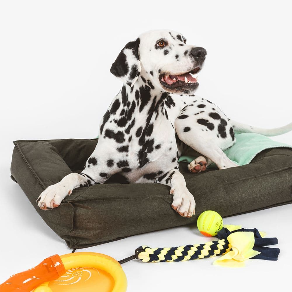 Nomad Tales Spirit Forest Night -koiranpeti ulos L-koko 100x70x15cm - Diilimurkku