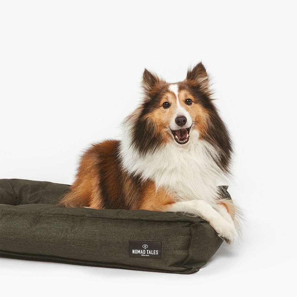 Nomad Tales Spirit Forest Night -koiranpeti ulos L-koko 100x70x15cm - Diilimurkku