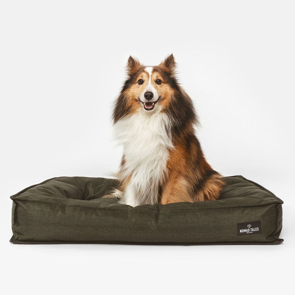 Nomad Tales Spirit Forest Night -koiranpeti ulos L-koko 100x70x15cm - Diilimurkku