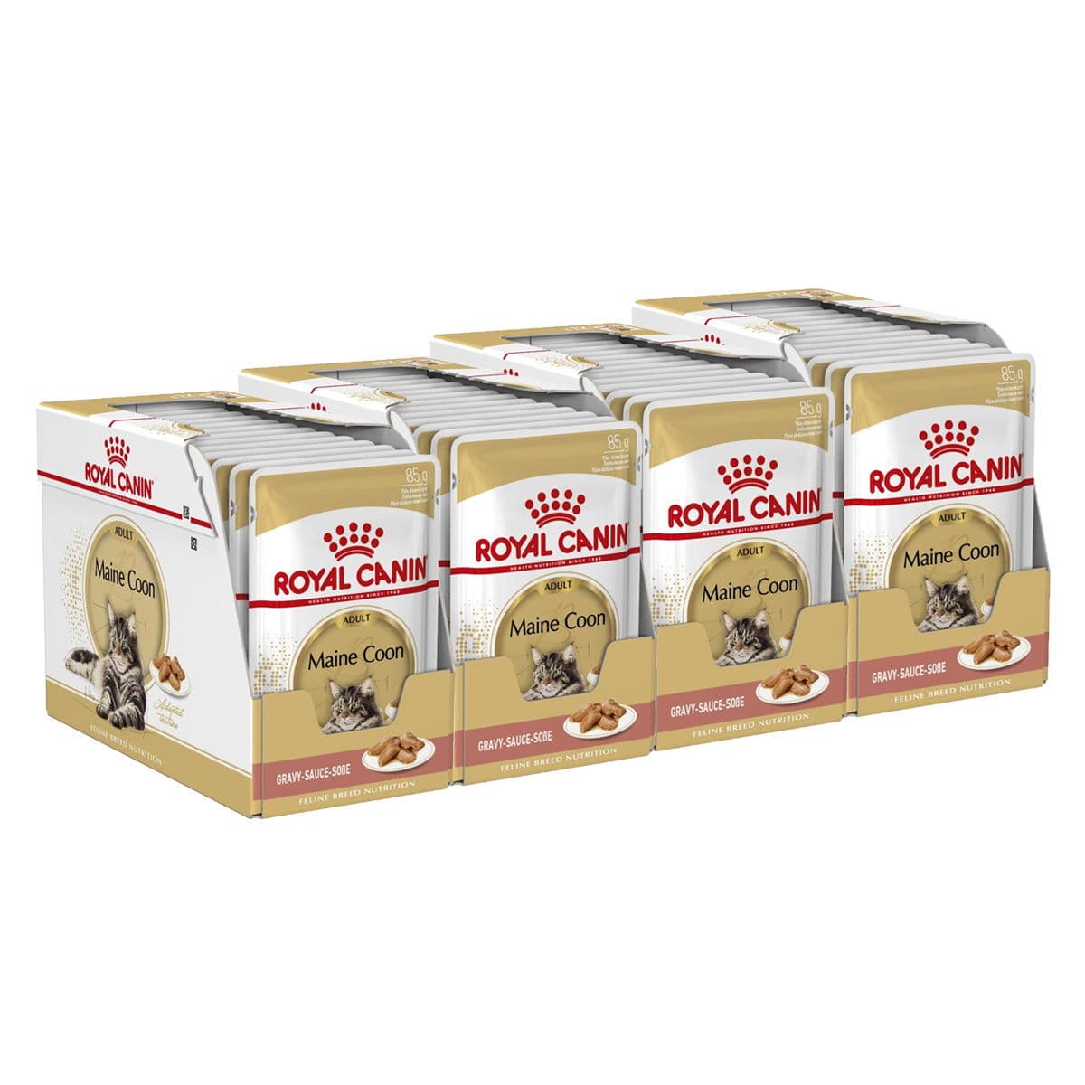 Royal Canin Maine Coon 85g, 48-pack - Diilimurkku - Click to view full gallery Royal Canin Maine Coon 85g, 48-pack - Diilimurkku - Main product gallery image